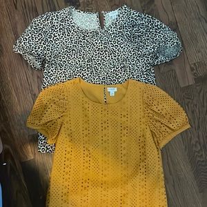 Two Jcrew puff sleeve blouses